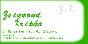 zsigmond kripko business card